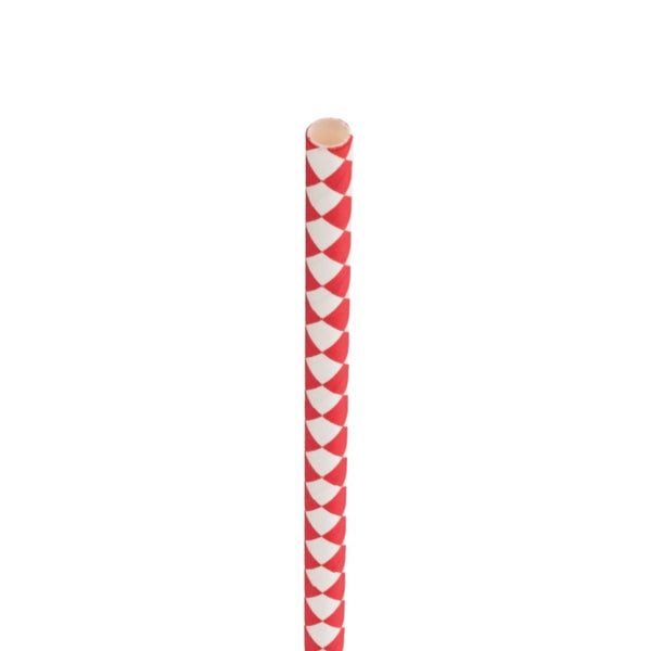 Paper Chequered Red Straw 8in