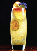 Endessa Beverage 120Z (355ml)