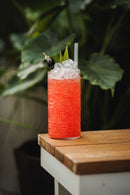 Fiji Hiball 17oz (505ml)*