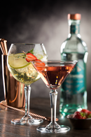 Speakeasy Gin Tonic 19.6oz (580ml)*